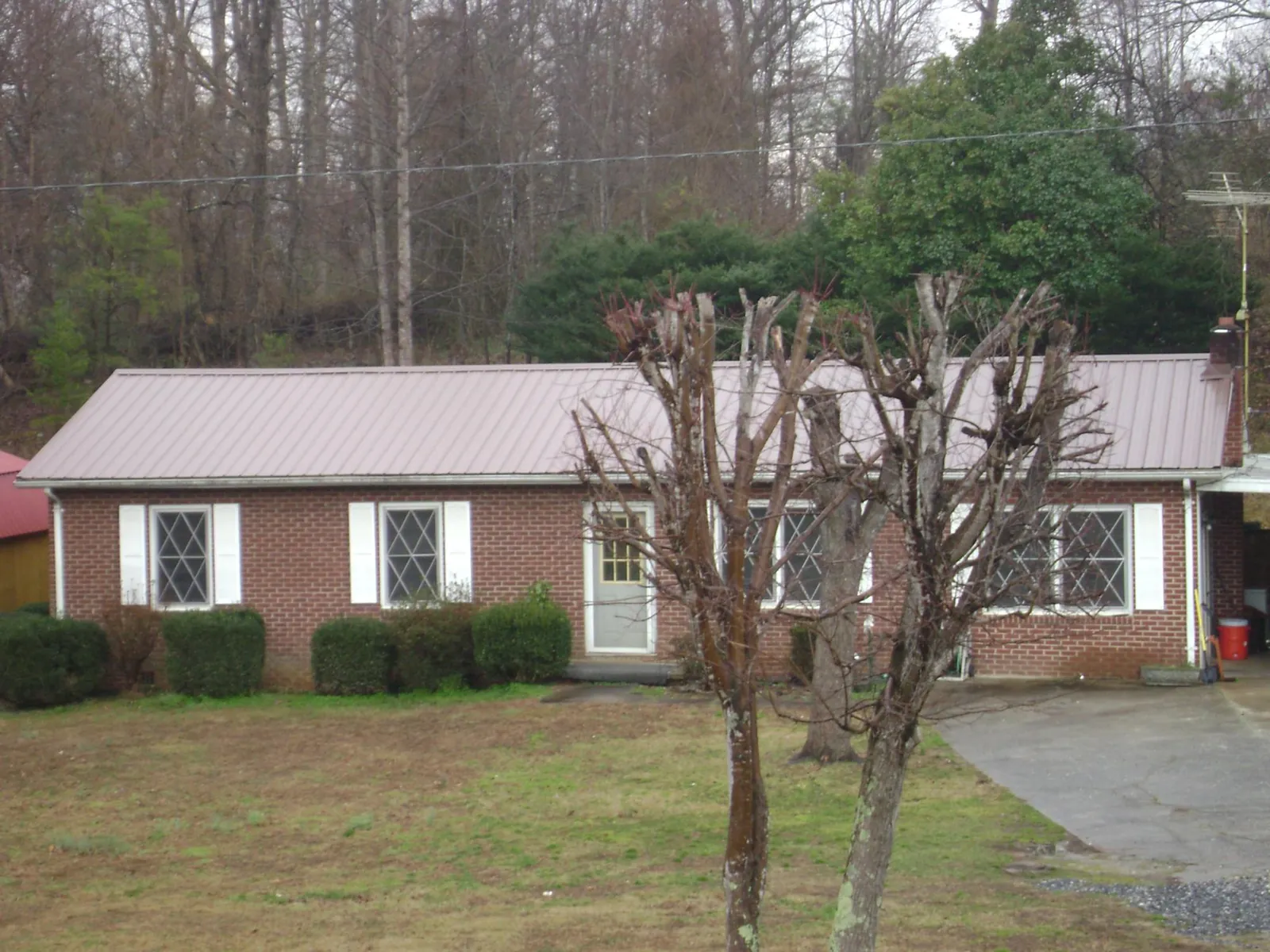Mauve metal roof on a brick ranch home behind bare trees in Lake Wales